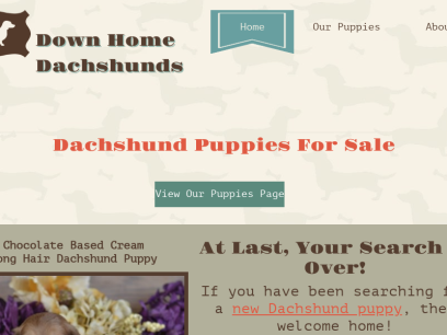 downhomedachshunds.com.png
