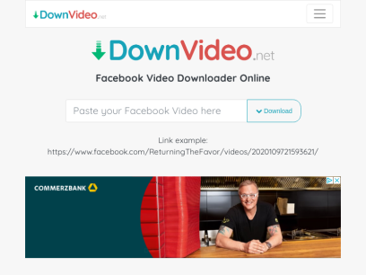 downvideo.net.png