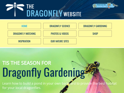 dragonflywebsite.com.png