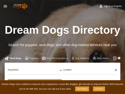 dreamdogs.co.uk.png