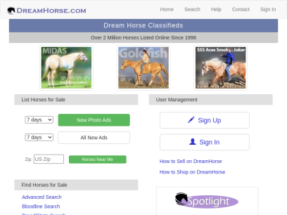 dreamhorse.com.png