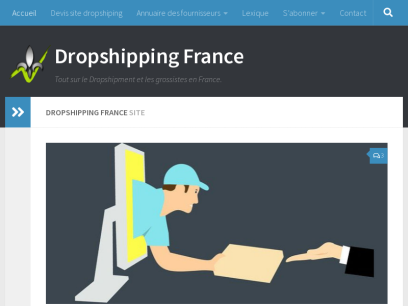 dropshipping-france.fr.png