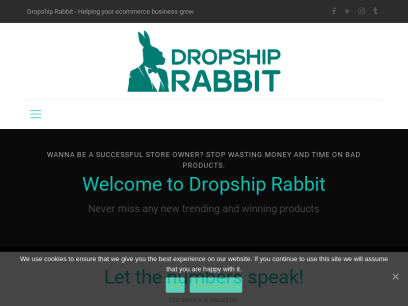 dropshiprabbit.com.png