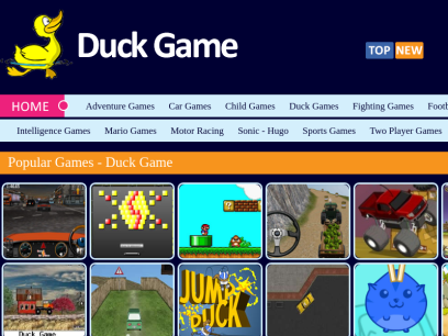 duckgame.net.png