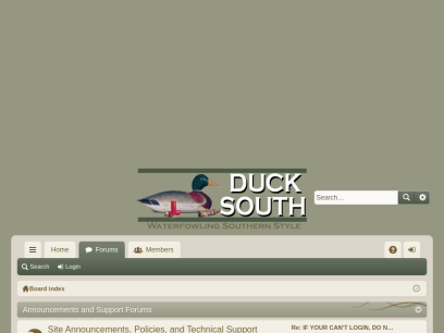 ducksouth.com.png