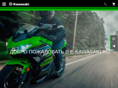 e-kawasaki.ru.png