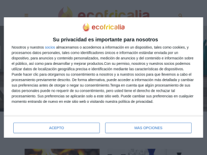 ecofricalia.com.png