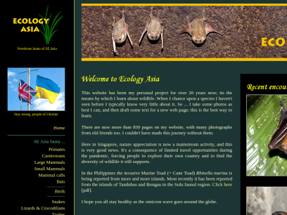 ecologyasia.com.png