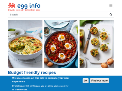 egginfo.co.uk.png