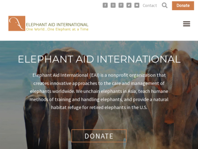 elephantaidinternational.org.png
