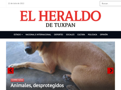 elheraldodetuxpan.com.mx.png