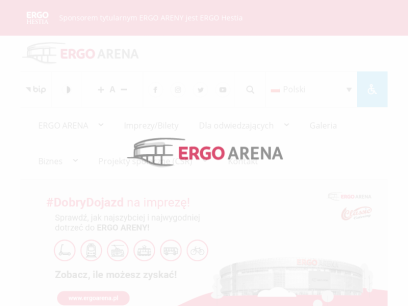 ergoarena.pl.png