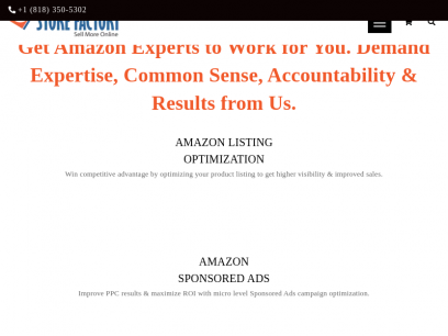 Amazon Consultant Agency, Amazon Consulting - Amazon Seller Experts