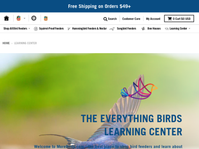everythingbirds.com.png