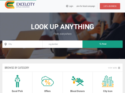 excelcityindia.com.png