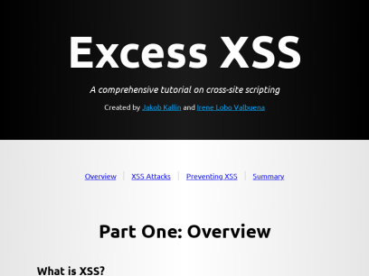 excess-xss.com.png