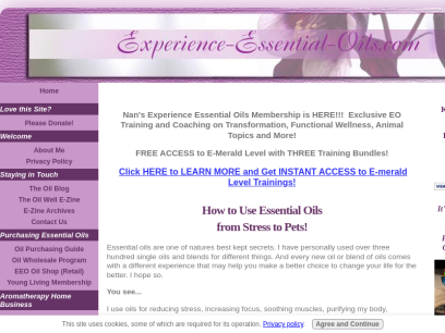 experience-essential-oils.com.png