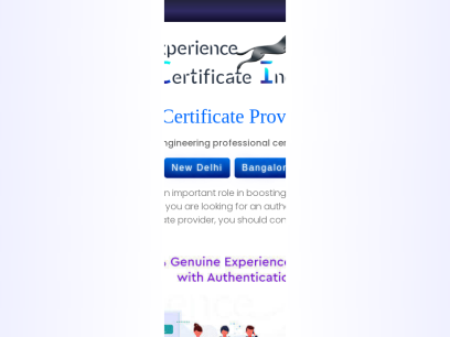 experiencecertificateindia.com.png