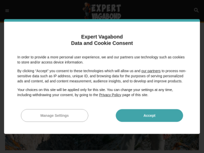 expertvagabond.com.png