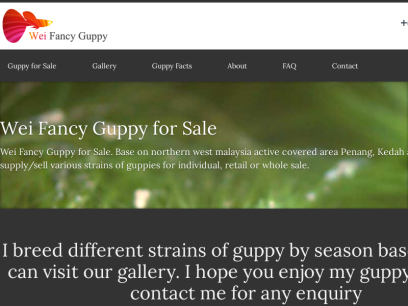 fancyguppy.net.png