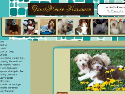 fausthousehavanese.org.png