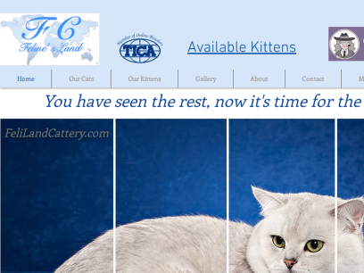 felilandcattery.com.png