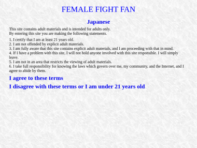 femfight2006jp.com.png