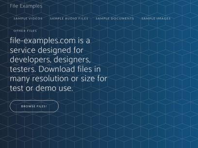 file-examples.com.png