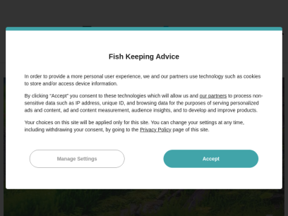 fishkeepingadvice.com.png