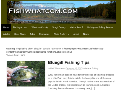fishwhatcom.com.png