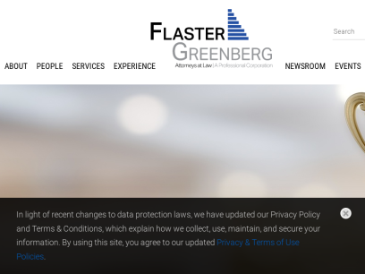 flastergreenberg.com.png
