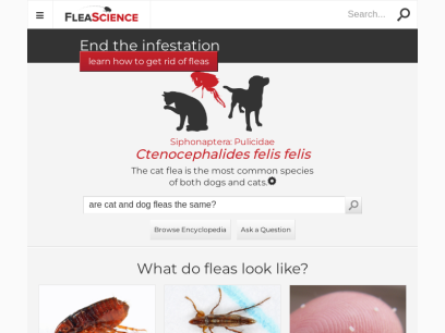 fleascience.com.png