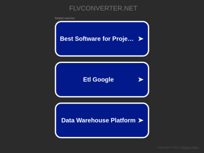 flvconverter.net.png