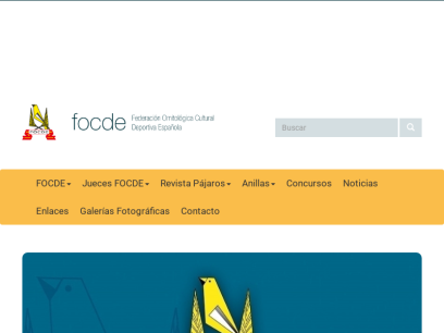 focde.com.png