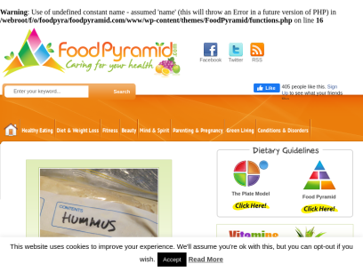 foodpyramid.com.png