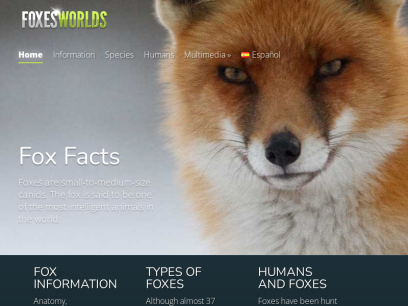 foxesworlds.com.png
