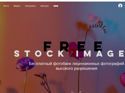 freestockimages.ru.png
