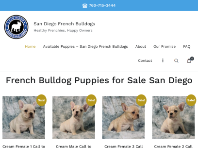 frenchbulldogssandiego.com.png