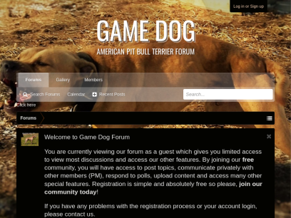 game-dog.com.png