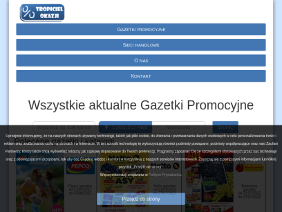 gazetki-promocyjne.net.pl.png