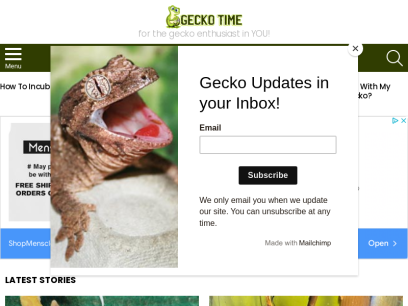 geckotime.com.png