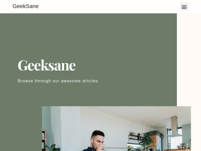 geeksane.com.png