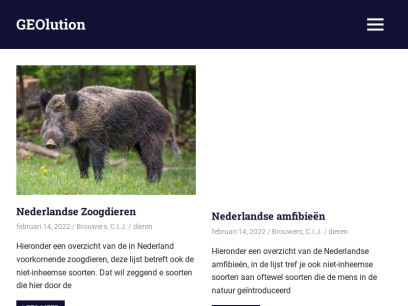 geolution.nl.png