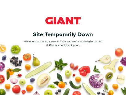 giantfoodstores.com.png