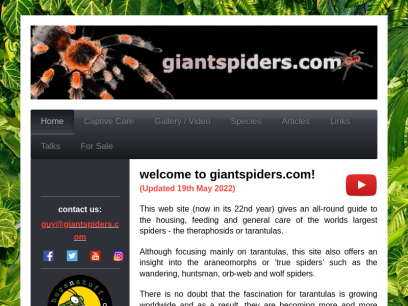 giantspiders.com.png