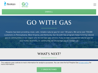 gowithgas.com.png