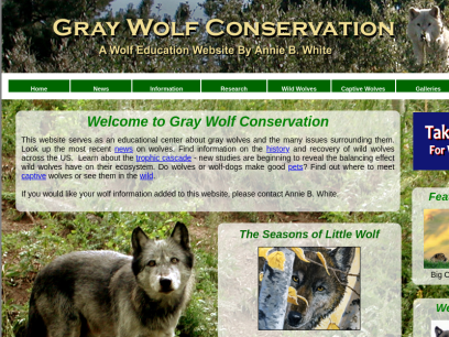 graywolfconservation.com.png