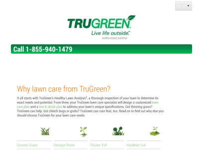 greenlawncare.net.png