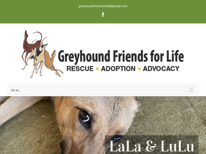 greyhoundfriendsforlife.org.png