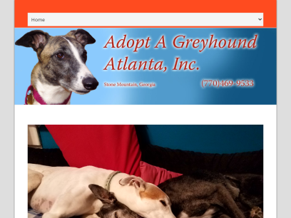 greyhounds2.org.png